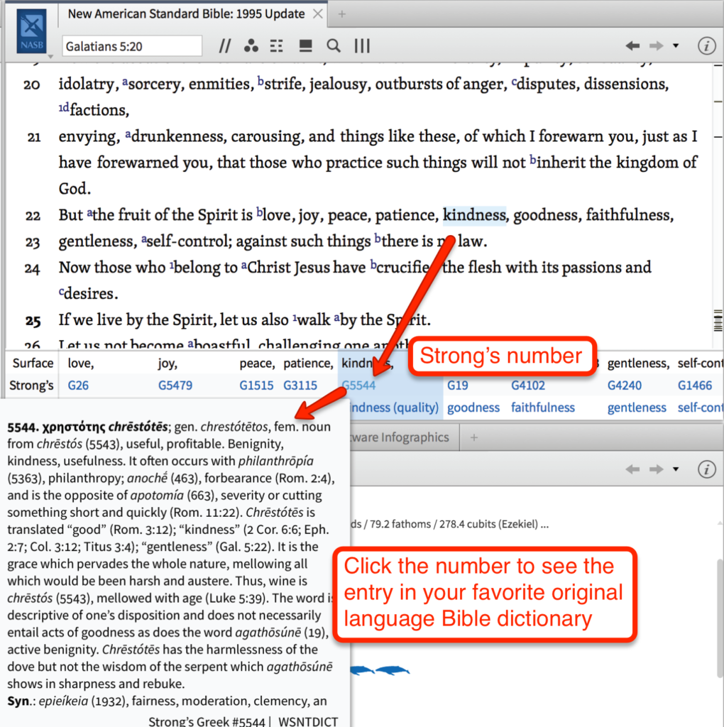 logos-bible-software-review-interlinear-ribbon-strongs