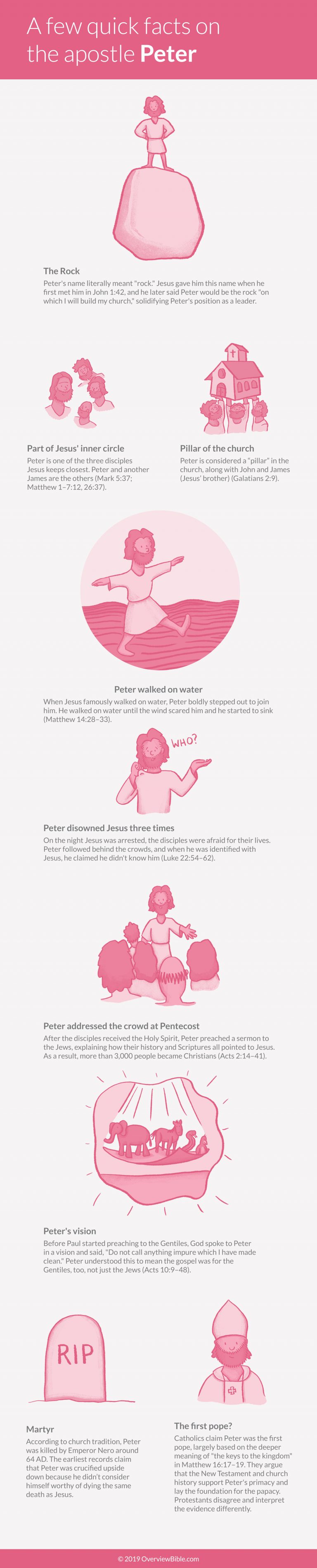 WHO WAS THE APOSTLE PETER THE BEGINNER S GUIDE visual data 7