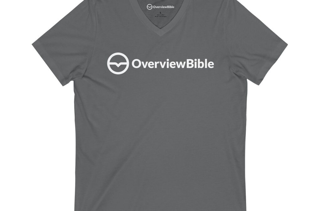 23730-jpg-overviewbible